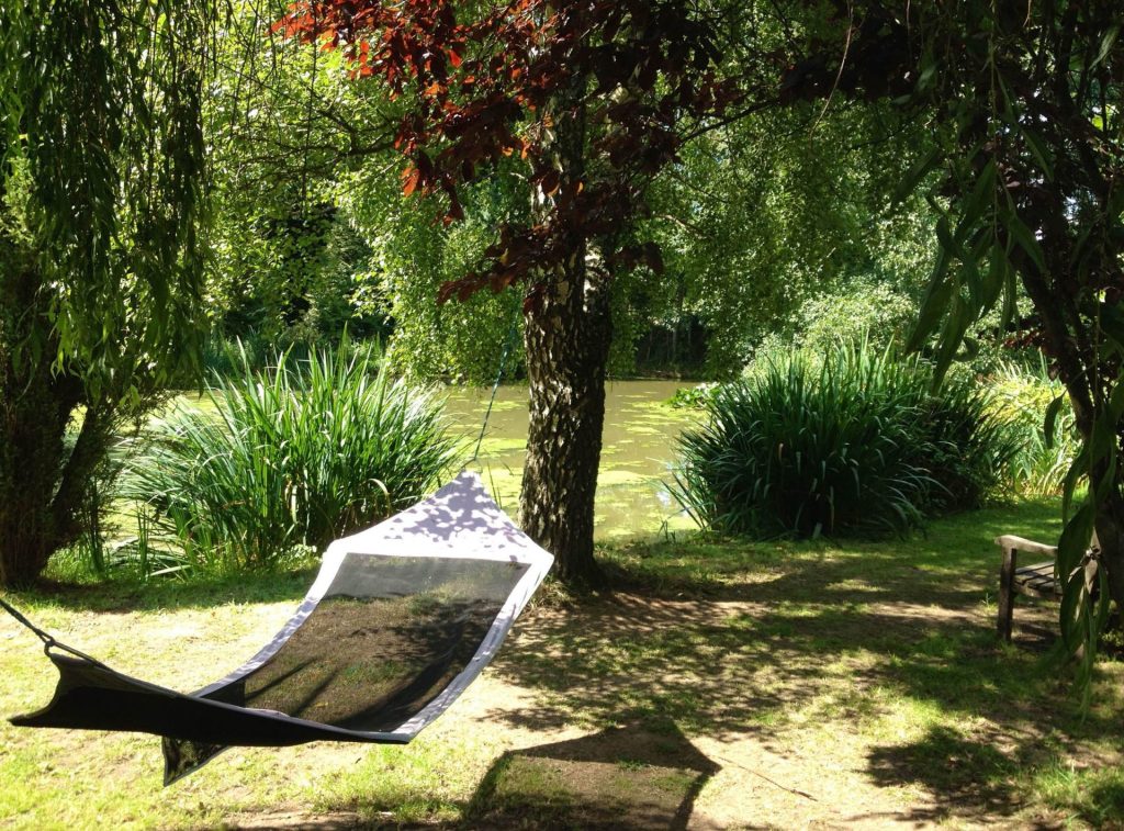 A hammock gently swaying in the shade beneath a large, leafy tree.