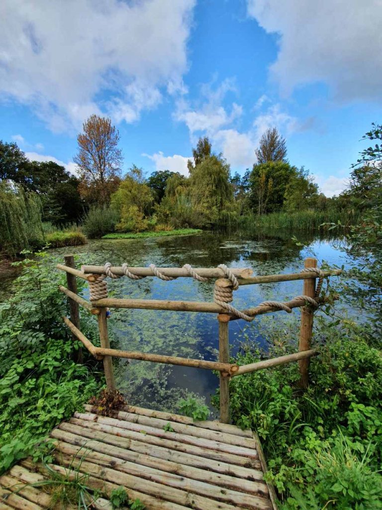 Pond area with green tree