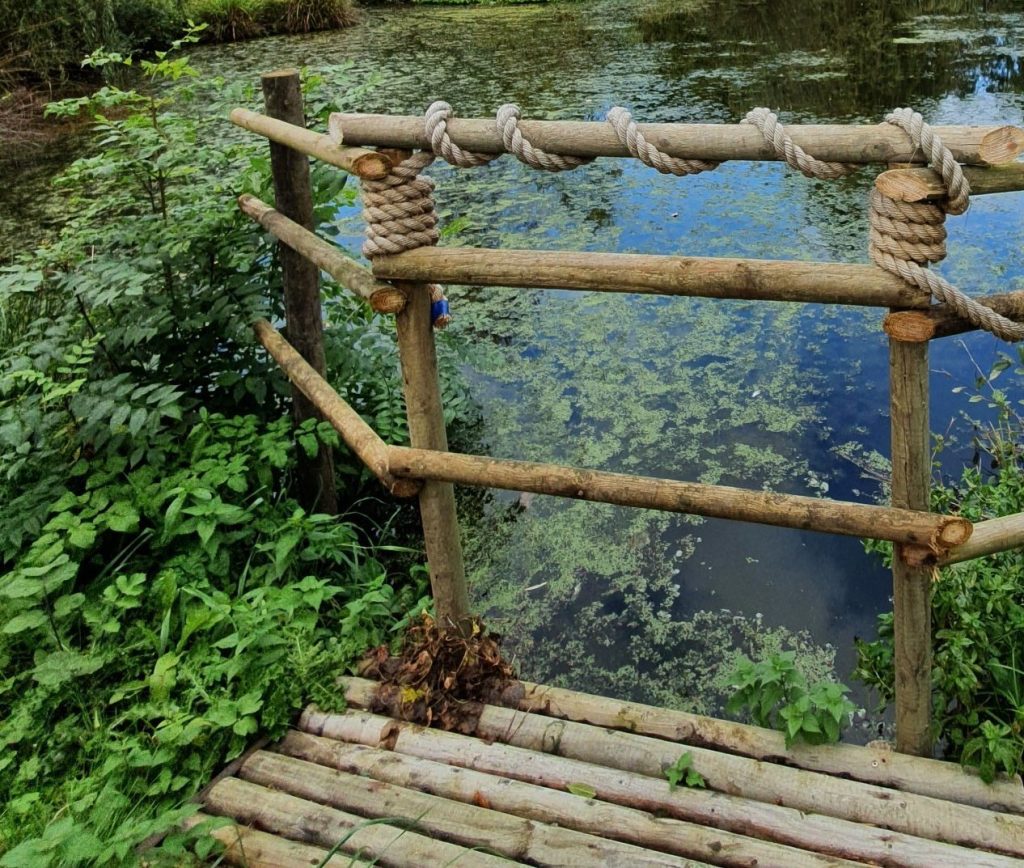 blue hammock hanging outside the house
