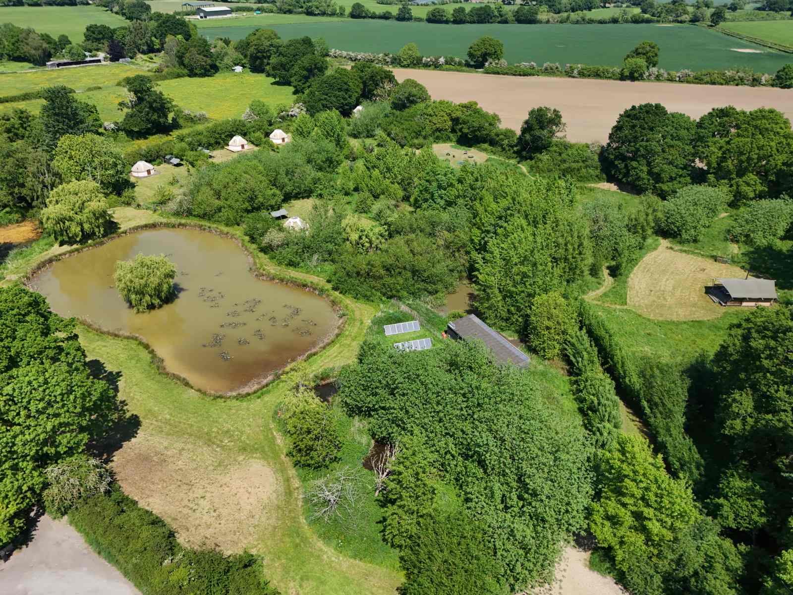 Lush green landscape with pond