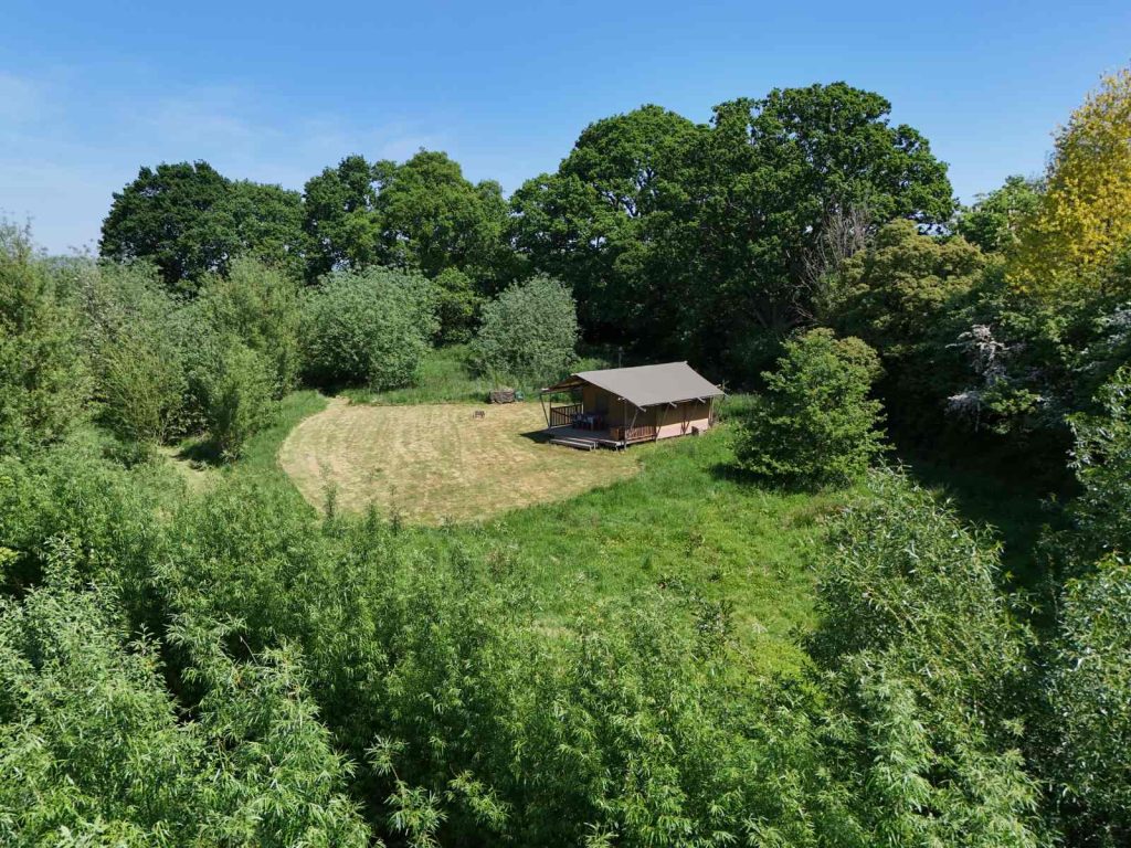 Tent surrounded by lush greenery